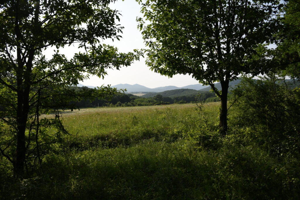 Tölgyudvar Vendégház Kismaros