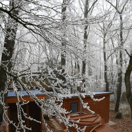 Ajándékutalvány Tölgyudvar Vendégház. Túraútvonalak. Kismaros Vendégház.